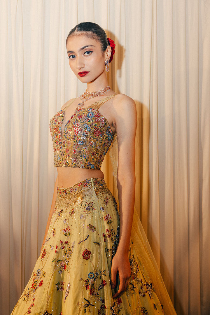 Anar Bel Silk Organza Lehenga with Hand-Embroidered Corset with Trail in Coral and Lime