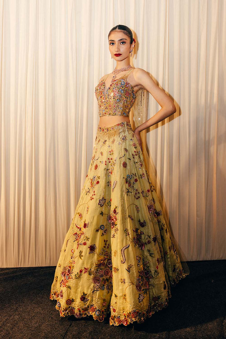 Anar Bel Silk Organza Lehenga with Hand-Embroidered Corset with Trail in Coral and Lime