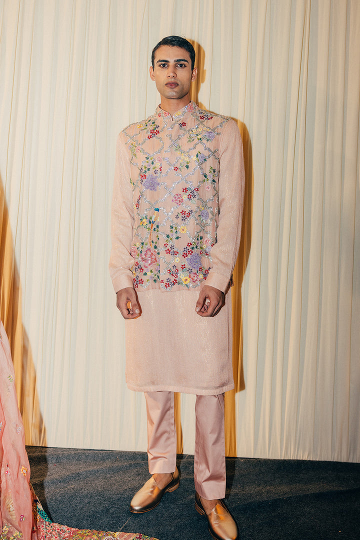 Birds Of Paradise Silk Organza Bandi in Blush Pink