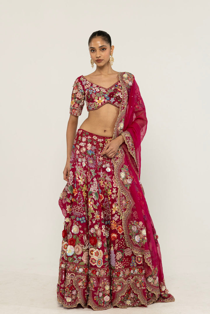 Himadri Hand-Embroidered Lehenga Set in Ruby