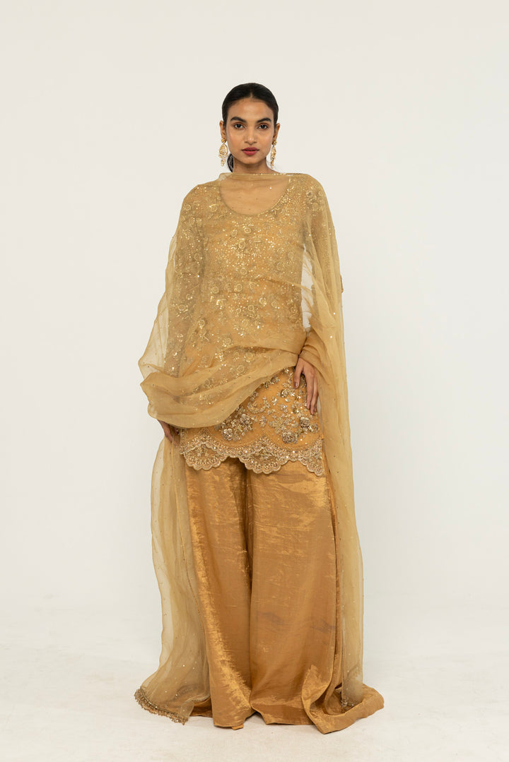 Himadri Hand-Embroidered Sharara Set in Copper Gold