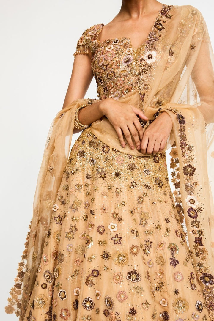 Garden Of Time Hand-Embroidered Blouse with Dupatta &amp; Lehenga in Nude and Bronze