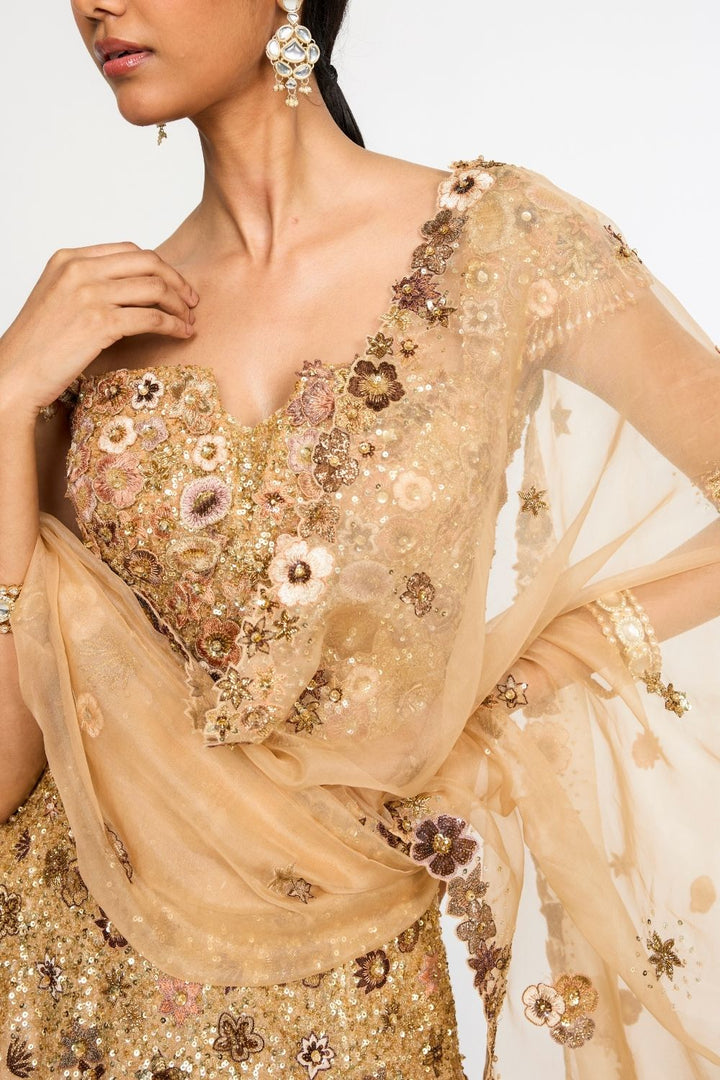 Garden Of Time Hand-Embroidered Blouse with Dupatta &amp; Lehenga in Nude and Bronze