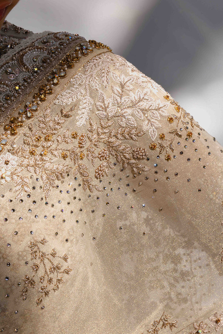 Chikankari Pichwai Hand Embroidered Silk Tissue Saree Set