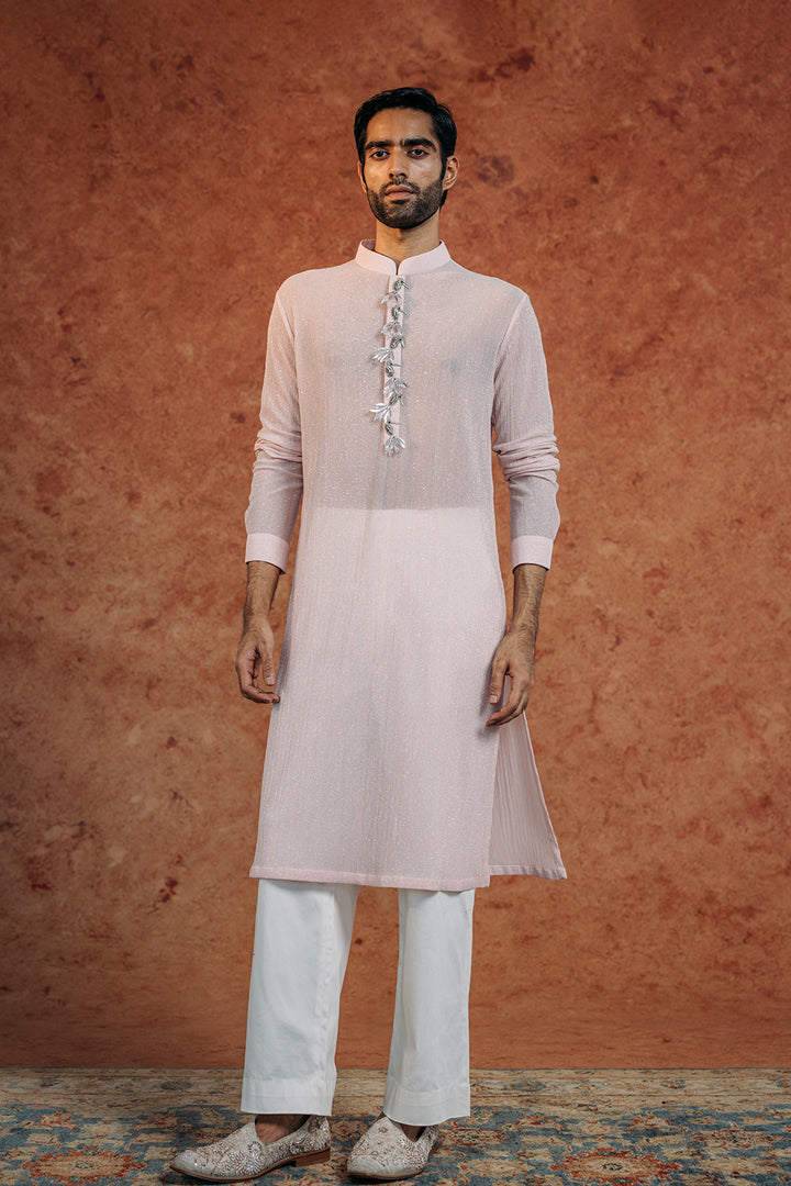 Toucan Bird Hand-Embroidered Kurta in Powder Blue