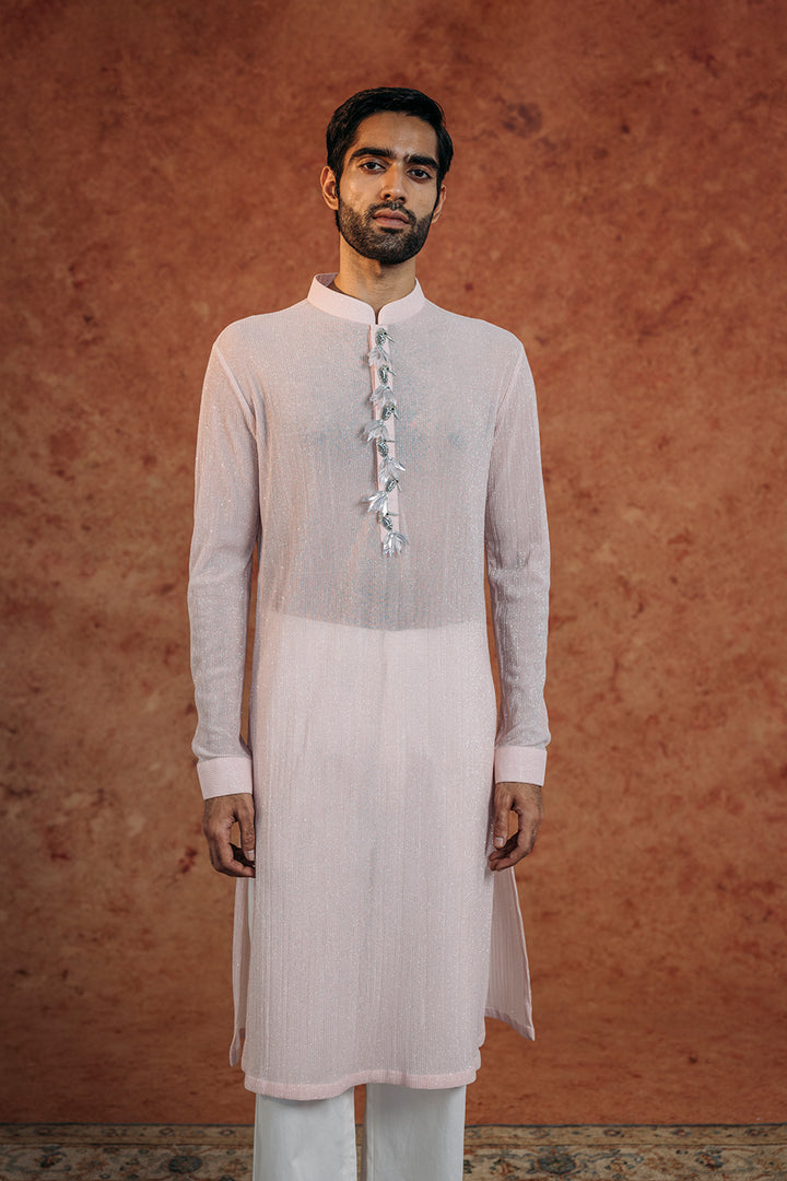 Toucan Bird Hand-Embroidered Kurta in Powder Blue