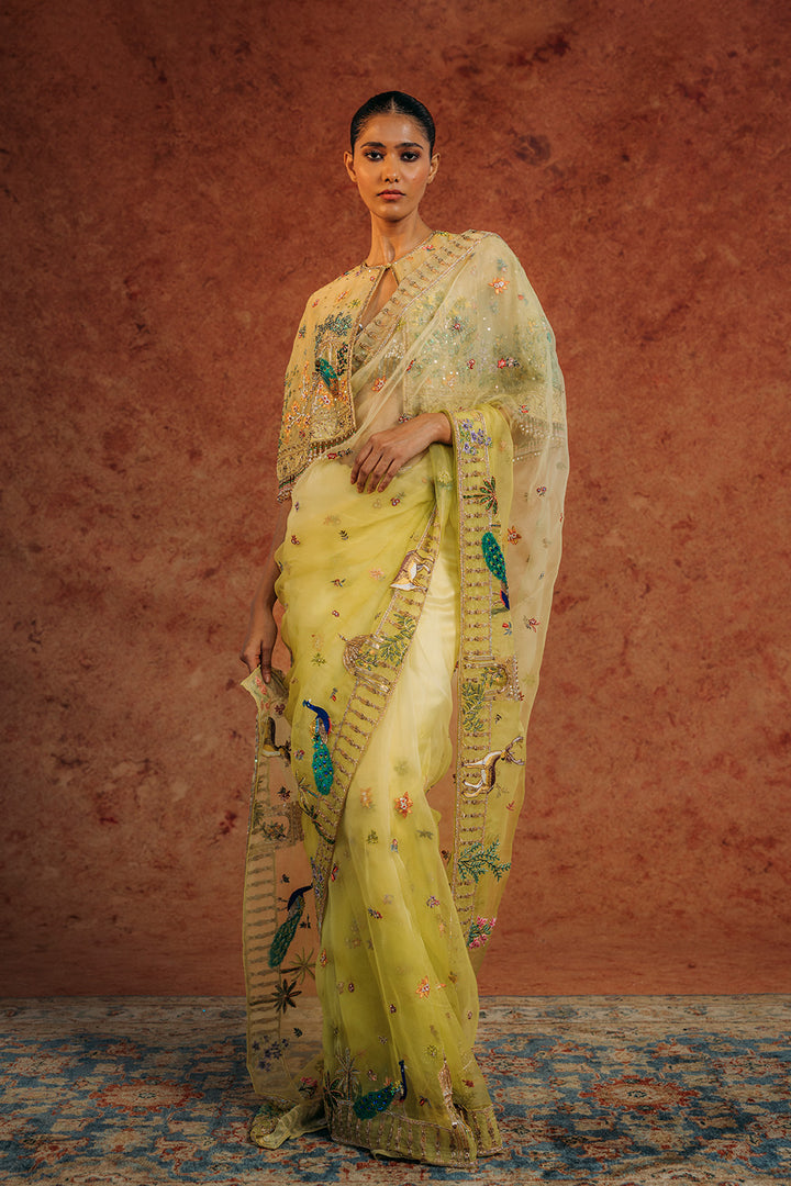 Jharokha Hand-Embroidered Cape with Silk Organza Saree in Mint and Lime Ombre