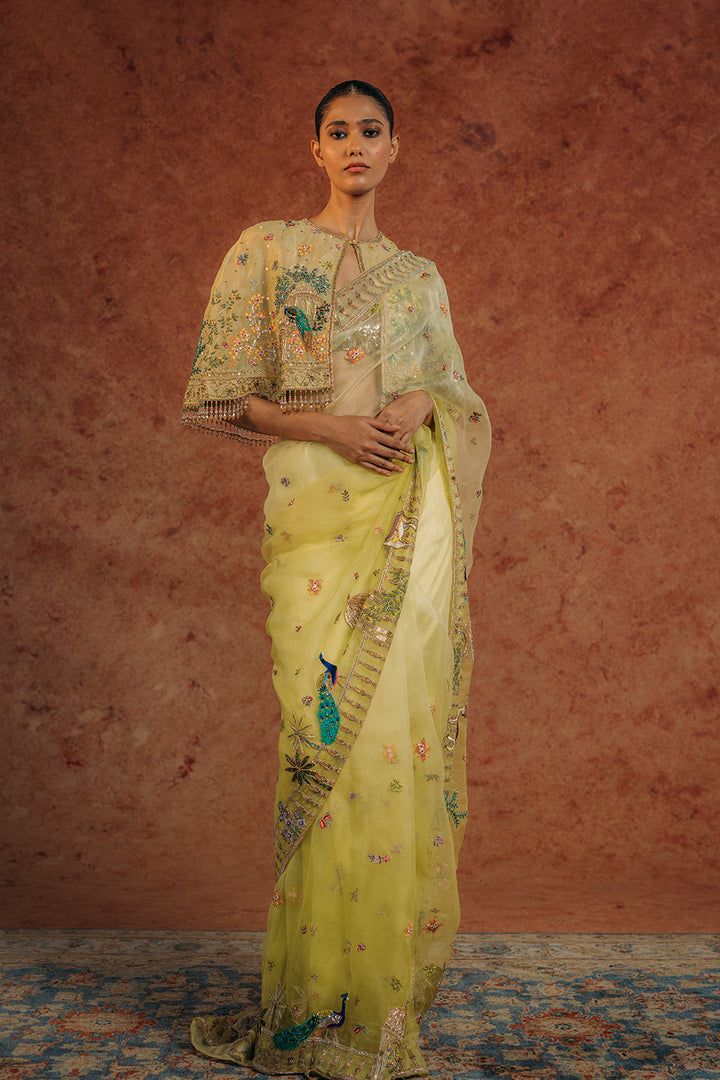 Jharokha Hand-Embroidered Cape with Silk Organza Saree in Mint and Lime Ombre