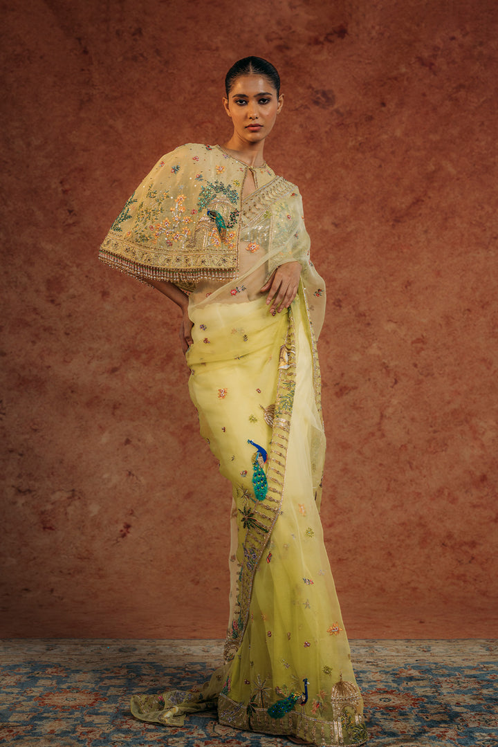 Jharokha Hand-Embroidered Cape with Silk Organza Saree in Mint and Lime Ombre