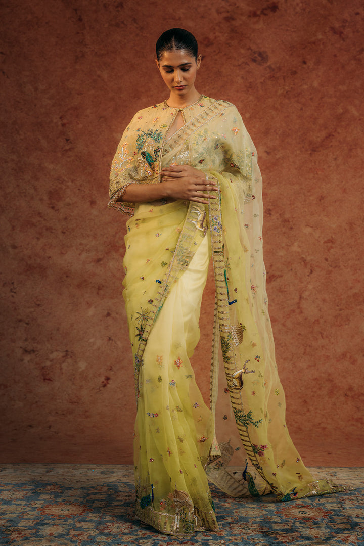 Jharokha Hand-Embroidered Cape with Silk Organza Saree in Mint and Lime Ombre