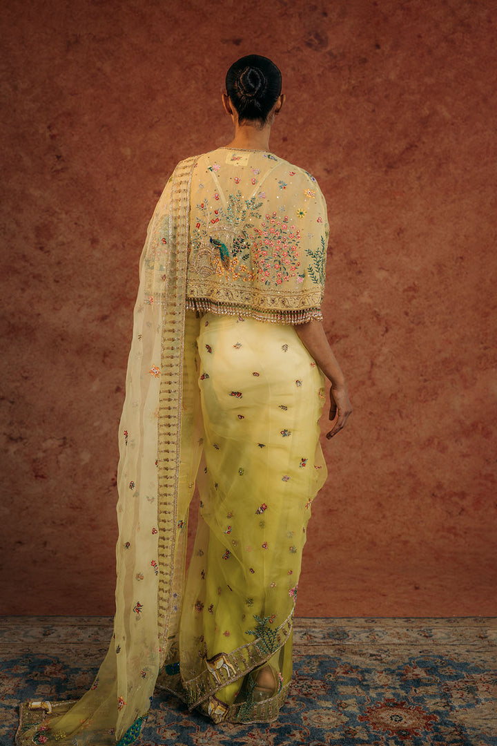 Jharokha Hand-Embroidered Cape with Silk Organza Saree in Mint and Lime Ombre