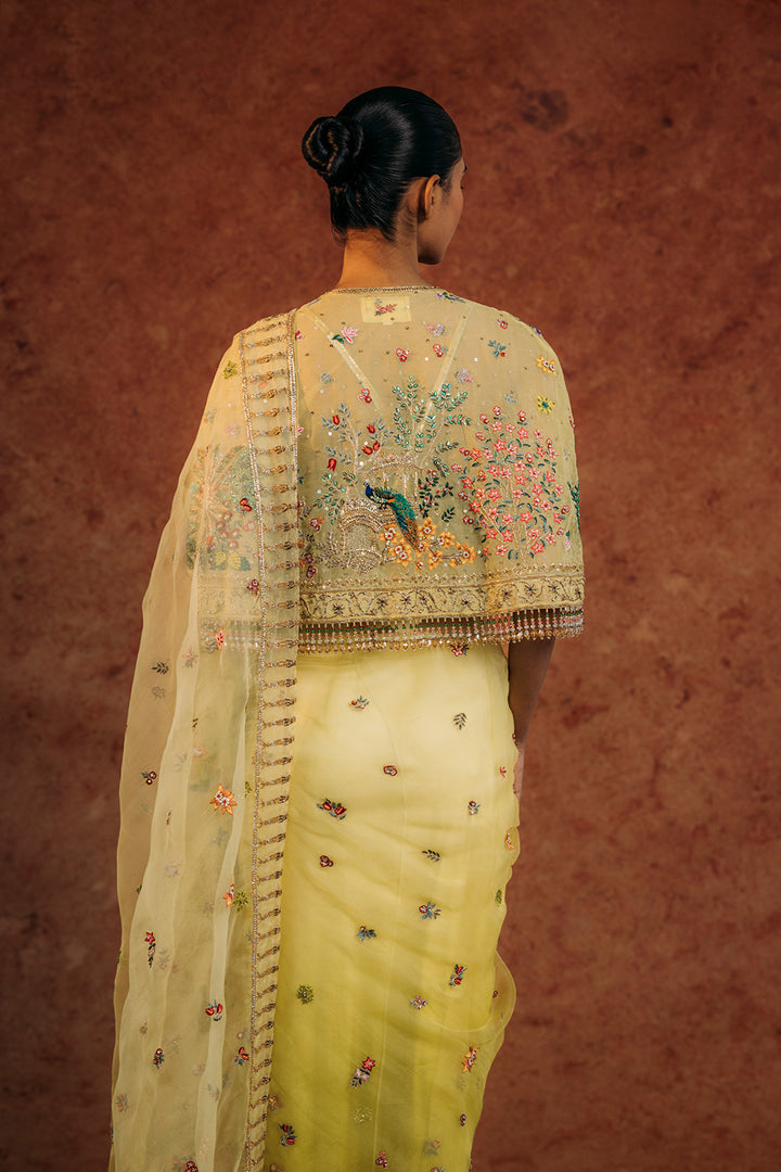 Jharokha Hand-Embroidered Cape with Silk Organza Saree in Mint and Lime Ombre