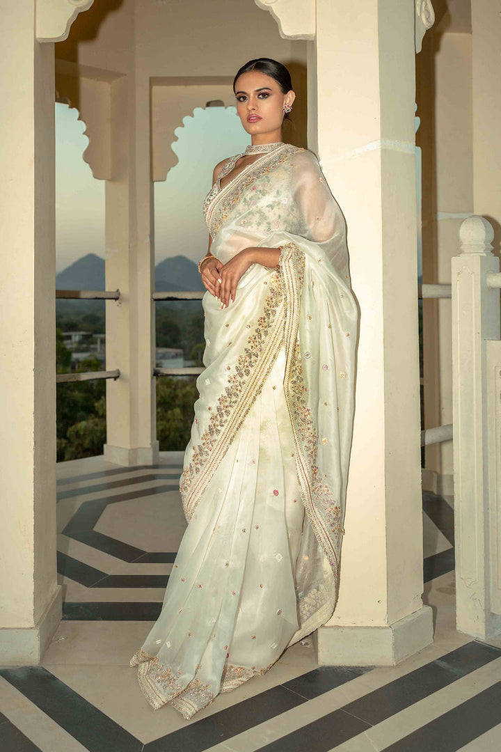 Chikankari Hand Embroidered Silk Organza Saree Set
