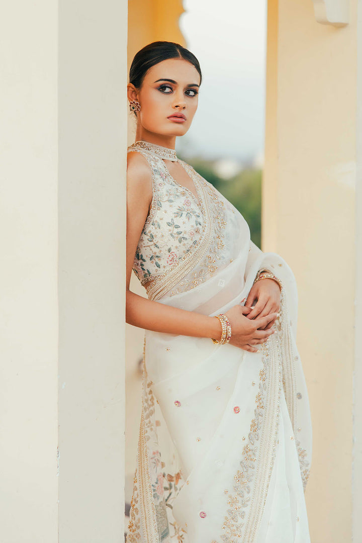 Chikankari Hand Embroidered Silk Organza Saree Set
