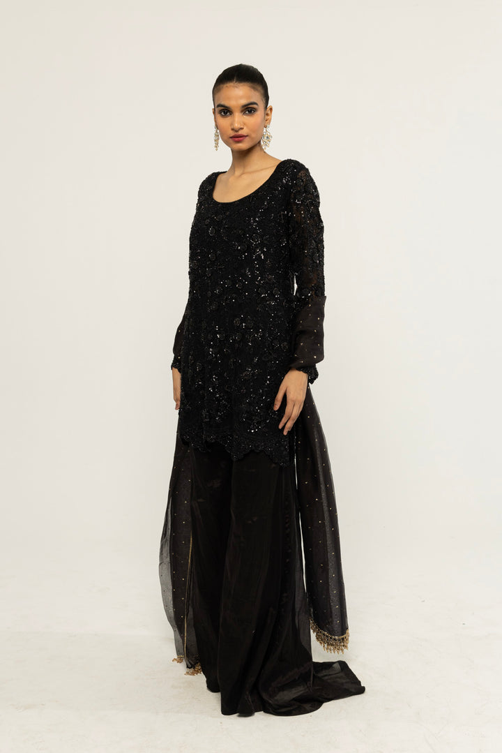 Himadri Hand-Embroidered Sharara Set in Black