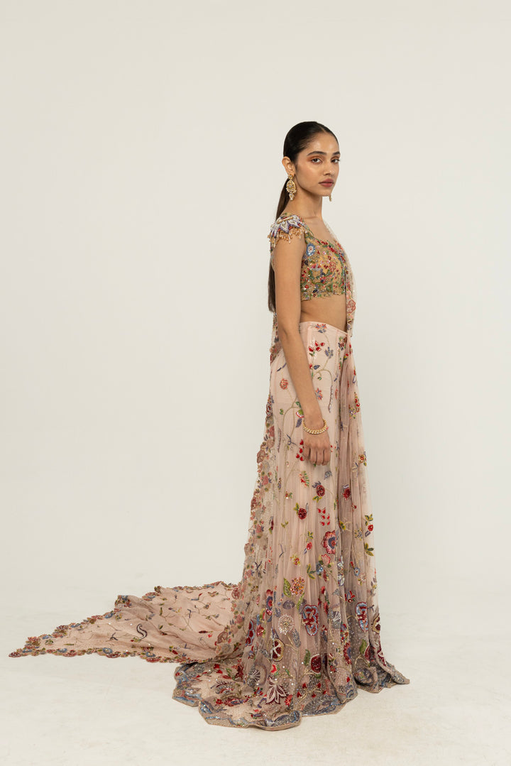 Anar Bel Hand-Embroidered Saree Set in Pink