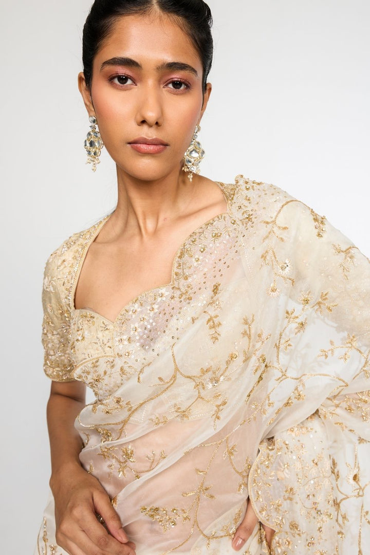 Jharokha Bel Hand Embroidered Silk-Crepe Saree