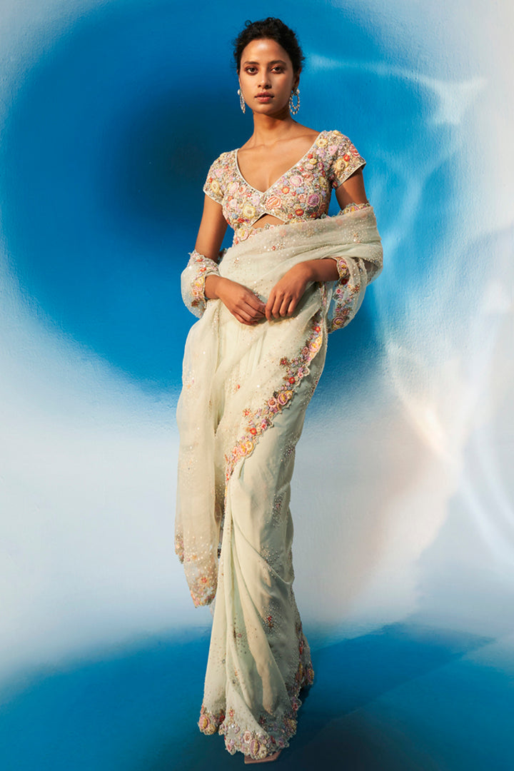 Navbhumi Hand-Embroidered Saree with Kayra Jaal Hand-Embroidered Blouse in Mint